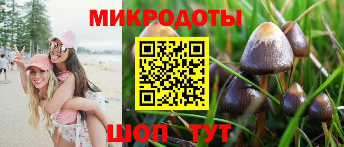 дарнет шоп  Галлюциногенные грибы GOLDEN TEACHER  Выкса  Вход с VPN  Псилоцибиновые грибы мицелий 