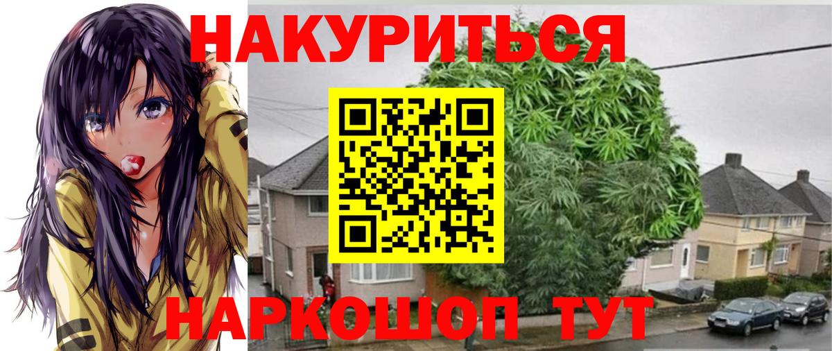 Бошки Шишки марихуана  Бошки Шишки планчик  Конопля VHQ  Выкса  Вход с VPN  Шишки марихуана AK-47 